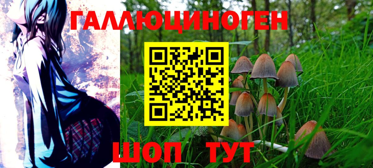 наркошоп  Вход с VPN  Саки  Галлюциногенные грибы Magic Shrooms 